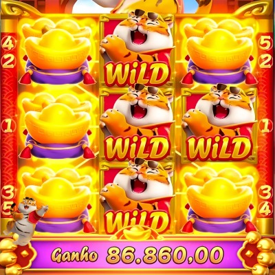 555bet