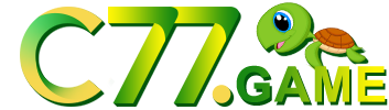 Football betting websites - Hwbet